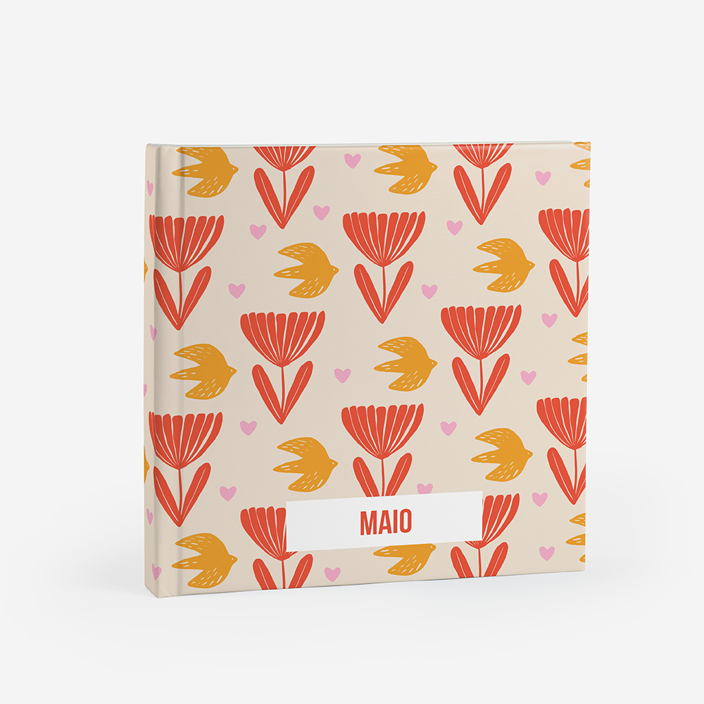 Álbum de Maio 3
